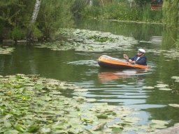 20080923qeaUOnjsfE