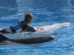 20080922PllHaR4cje