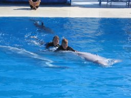 20080922kqI5dflKqd