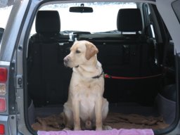 2010010781kr77EicW