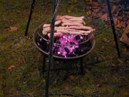 IMG-20240118-WA0008